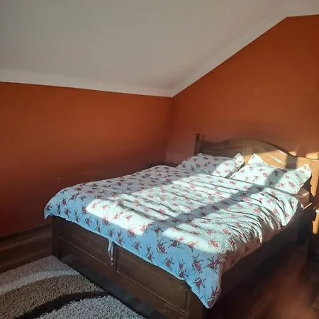 Din Ses Κλουζ-Ναπόκα